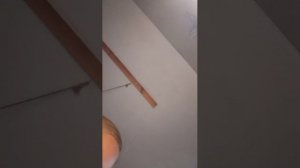 собираюсь на прогулку с пацанами