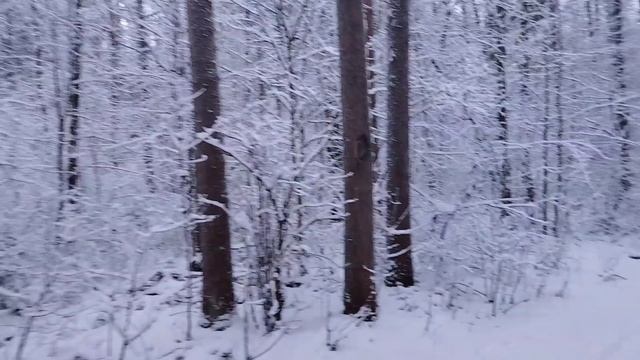 Настоящая русская зима вернулась 26 декабря 2025г #2 смотреть онлайн