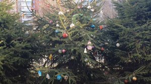 Предновогодняя суета в самом разгаре... мандарины, апельсины.🎄🎅⛄️