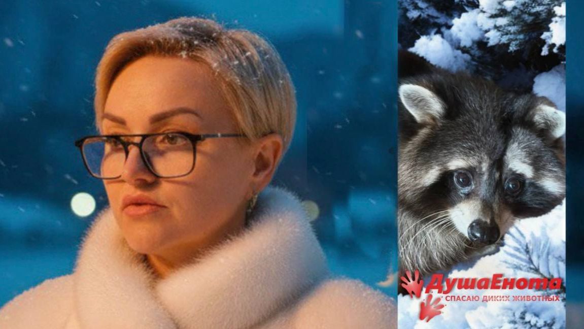 С НОВЫМ 2026 ГОДОМ от проекта «Душа енота» смотреть онлайн