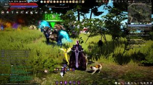 Играем в Black Desert