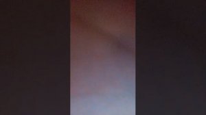 играем в car simulator 2