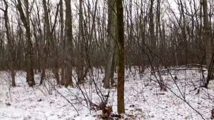 Небольшой рассказ про Русю AND Пипоньку