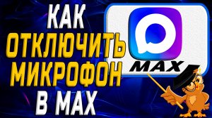 Как отключить микрофон в Max