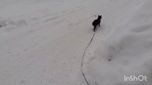 На улице не холодно.