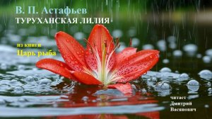 В. П. Астафьев. Туруханская лилия. (Царь рыба). Читает Дмитрий Васянович