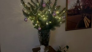 Поздравляю всех с новым годом!!!музыкальная пауза. Новогодняя елочка от старшей внучки.