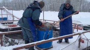 video-output-1E883E1D-AB1D-44EA-B593-30A6EDF3FEE8-1