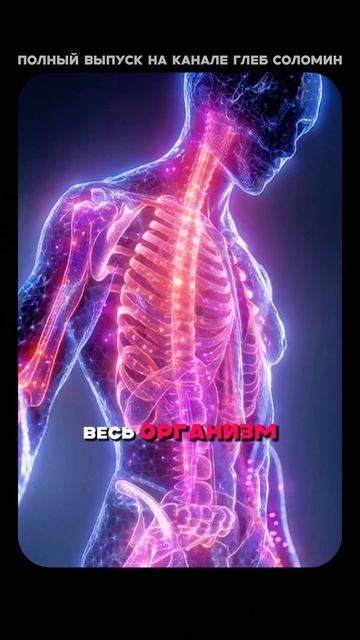 Медицина будущего | Терушкин и Вялов | Полный выпуск на канале «Глеб Соломин» смотреть онлайн