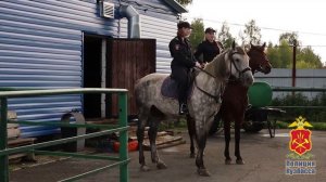 Новости ТВН от 31.12.25