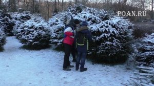 С друзьями за елкой в лес - С Новым годом!