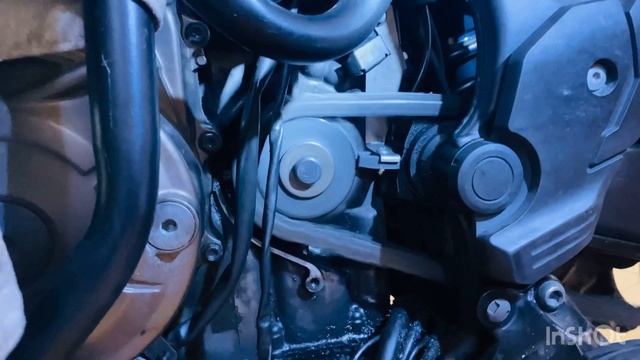 Африка доработки 2024