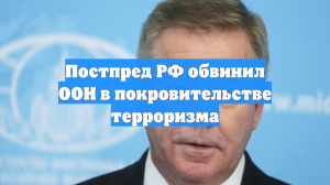 Гатилов уличил УВКПЧ в предвзятости из-за молчания об атаке на резиденцию Путина
