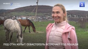 Под стук копыт: Севастополь встречает Год Лошади