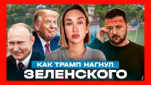 Ольга Шарий : Страх и ненависть Зеленского