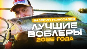 ТОП ЛУШИХ ВОБЛЕРОВ 2025: щука, окунь, голавль и не только...