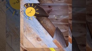 1000044160.mp4 (Собака наблюдает за устройством лестницы на 2 этаж в доме А-фрейм)