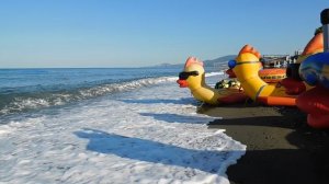 ВИДЕО  ПВН  ББ   (1513)