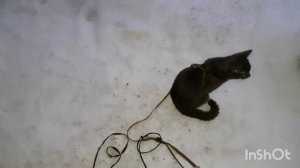 На улице хорошо.