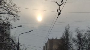 30 декабря - магическое солнце 🌞 от волшебника до вечера пасмурно снег ❄️ в ночь на 31  луна 🌖
