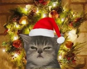 🎄ПОДГОТОВКА К НОВОМУ ГОДУ 🎄