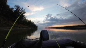 НОЧНАЯ РЫБАЛКА НА ФИДЕРА! Я БЫЛ В ШОКЕ ОТ ТАКОГО УЛОВА!