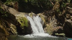 Тропическая вода