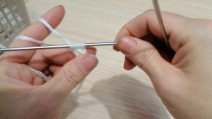 Шнурок спицамии