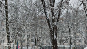 НОВОГОДНЯЯ ПОГОДА К НАМ ПРИШЛА