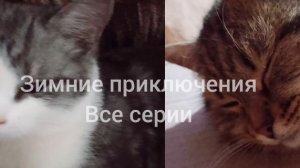 Зимние приключения | Все серии