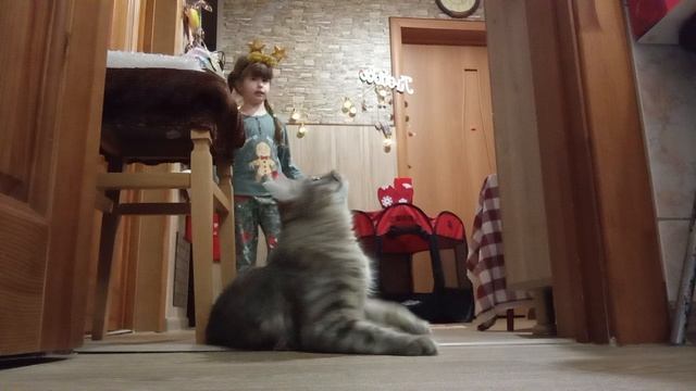 Кошечка Милка в восторге от подарка 🎁 смотреть онлайн