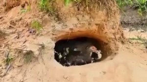 VID_20251229_082657_679.mp4