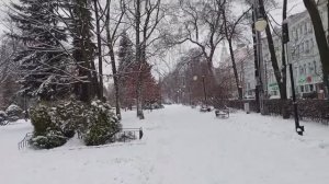 Руся IN Пипонька В Воронеже, Кольцовский Сквер, Зима ❄️❄️❄️