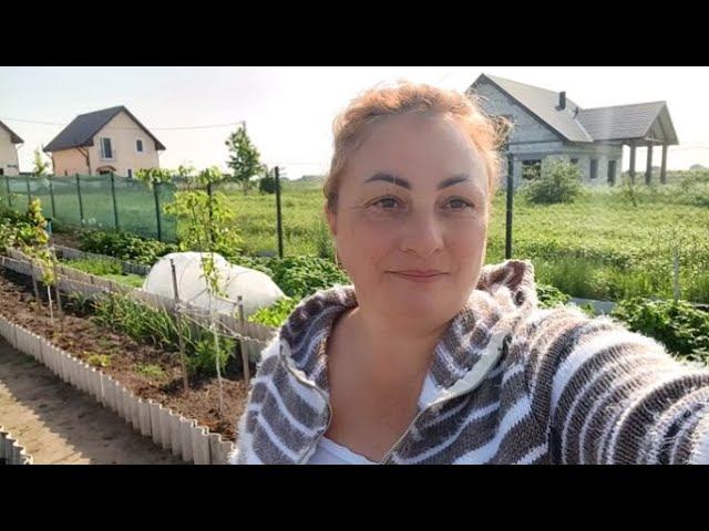 Вроде Как Лето Настало ))) У Басика друг Ники ))) И немного Обо Всём // смотреть онлайн