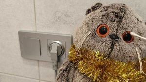 утро с котом басиком ❤️занятия басика. 🩷