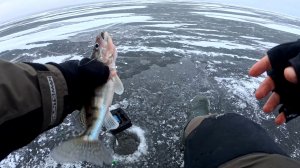 Открытие Зимней Рыбалки 2025. Волга. Большая Глубина.