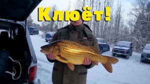 Зимняя рыбалка выход №2. Ловля живца. Рыбалка на жерлицы