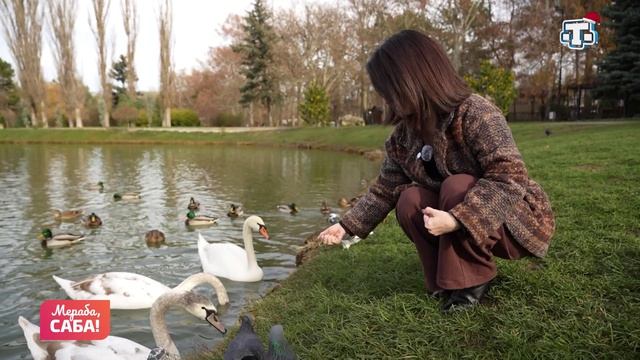 Рубрика «Телеканал Миллет». Выпуск от 30.12.2025 смотреть онлайн