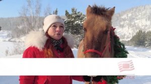 Новогоднее предсказание: символ 2026 года раскрывает тайны грядущего