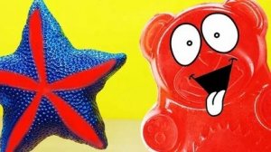 ЖЕЛЕЙНЫЙ МЕДВЕДЬ ВАЛЕРА