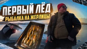 НАЛОВИЛ РЫБЫ И СРАЗУ ЗАКОПТИЛ. ЗИМНЯЯ РЫБАЛКА НА ЖЕРЛИЦЫ 2025. ПЕРВЫЙ ЛЕД.