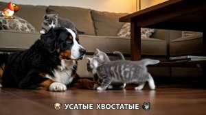 Котята и щенята 🐈🐶 Кошки и собаки 🤗 Милое видео про животных (37)