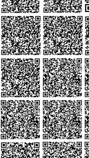 Девки пл. 4455667777