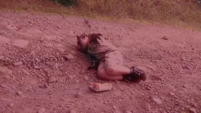 Страшилки Сталкер Роблокс