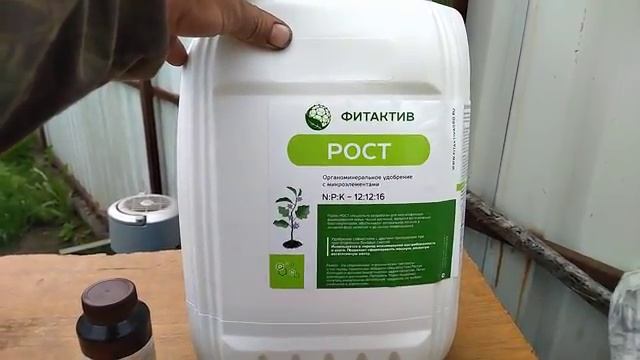 Фитактив Рост, Фитактив Экстра на развитие куста и мощного корня у томата Мимино