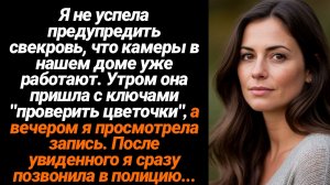 Жизненные Истории/Я не успела предупредить свекровь, что камеры в нашем доме уже работают.