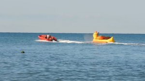 ВИДЕО  ПВН  ББ   (1512)