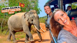 Шри-Ланка: райские пляжи Тангалле и невероятное сафари в парке Яла!