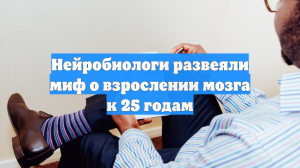 Нейробиологи развеяли миф о взрослении мозга к 25 годам