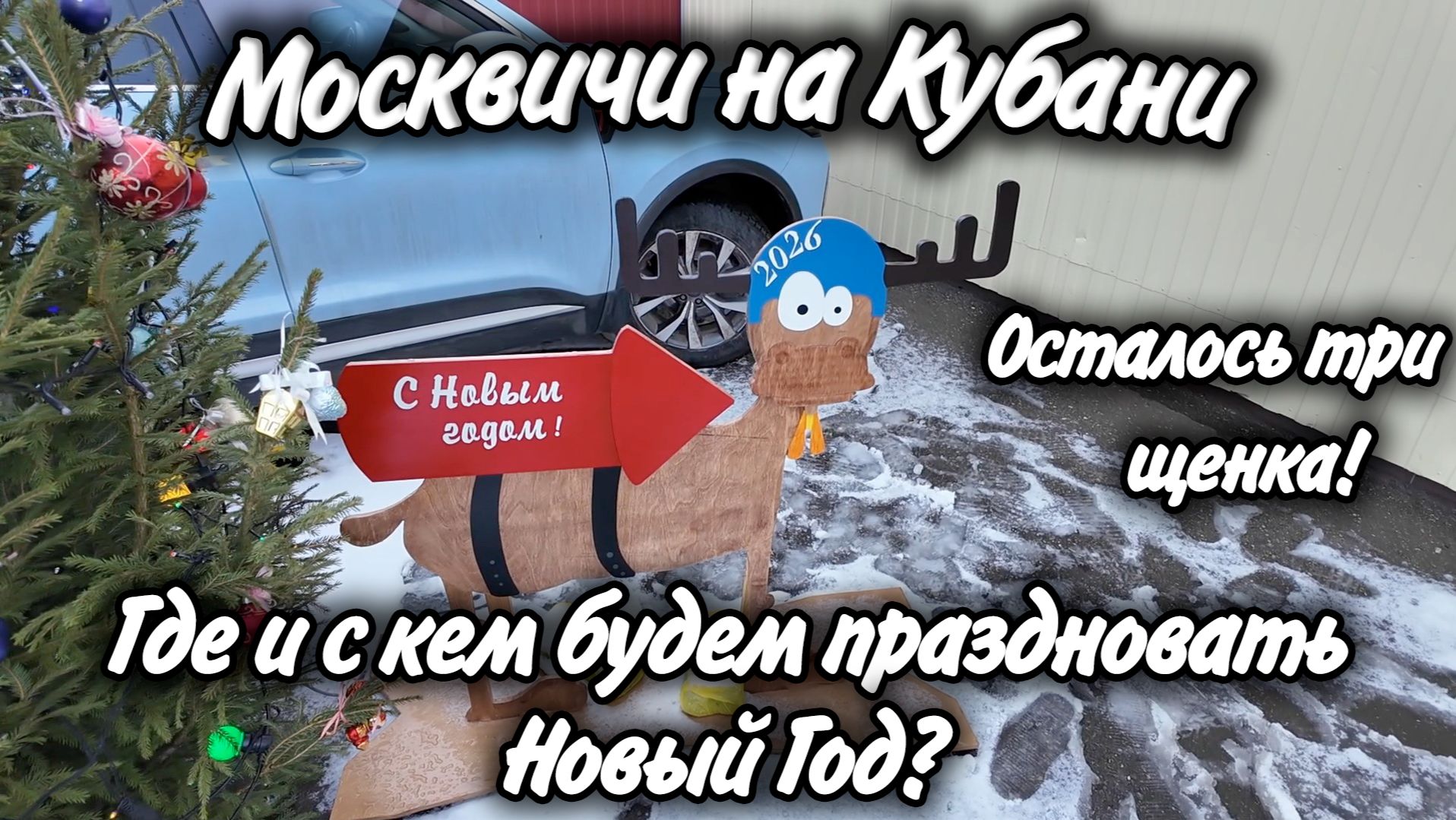 В Ейске выпал снег перед Новым годом — и 3 щенка ищут семью смотреть онлайн